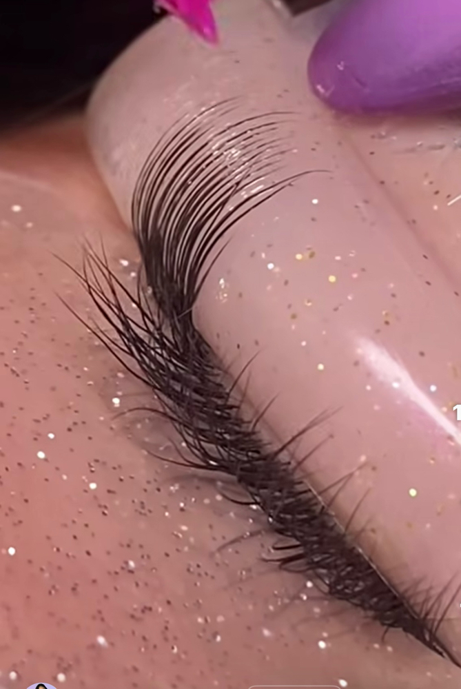 Close-up of a client's eye with freshly lifted and tinted lashes